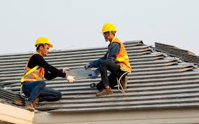 Best Roof Ventilation Installation  in Warren, IL